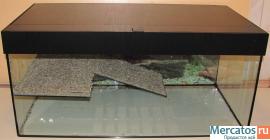 Изготовлю террариум, аквариум, черепашник... по размерам заказчи 2