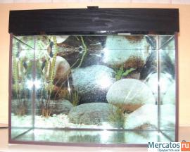 Изготовлю террариум, аквариум, черепашник... по размерам заказчи 3