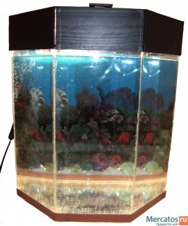 Изготовлю террариум, аквариум, черепашник... по размерам заказчи 4