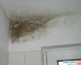 Уничтожить запах Краснодар, устранить запахи, удалить запах Крас 3