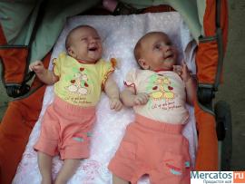 продам коляску для двойни 4