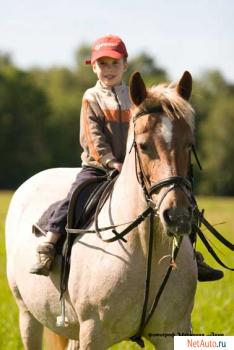 Обучение верховой езде, катание на лошадях, пронулки на лошадях