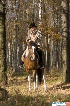 Обучение верховой езде, катание на лошадях, пронулки на лошадях 2