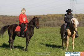 Обучение верховой езде, катание на лошадях, пронулки на лошадях 4