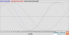 «ИНДИВИДУАЛЬНЫЙ БИОРИТМ ЧЕЛОВЕКА»