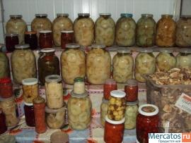 Продам грибы грузди, опята, маслята, белые, соленые и маринованн