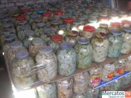 Продам грибы грузди, опята, маслята, белые, соленые и маринованн 3