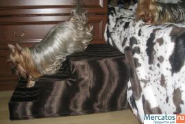 Ступеньки для собак 5