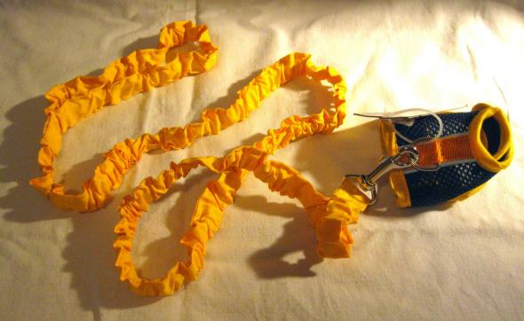 Продаю шлейку + поводок для крысы. Новые.