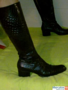 Сапоги жен.франция 39,5-40,на меху,Free lance 2