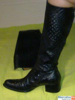 Сапоги жен.франция 39,5-40,на меху,Free lance 4