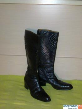 Сапоги жен.франция 39,5-40,на меху,Free lance 5