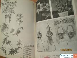 1965 Горшечные растения с международными названиями 2