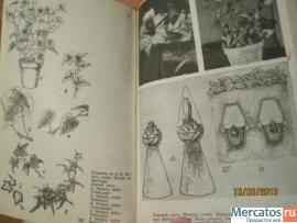 Горшечные растения 1965 С международными названиями растений