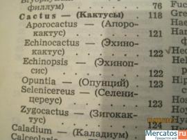 Горшечные растения 1965 С международными названиями растений 2