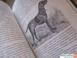 Собаки охотничьи. Легавые. Автор Сабанеев. 490 страниц с рисунка