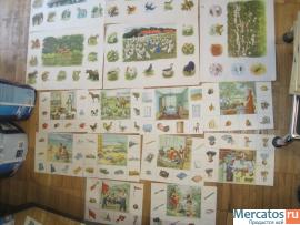 НАГЛЯДНЫЕ ДЕМОНСТРАЦИОННЫЕ МАТЕРИАЛЫ для ОБУЧЕНИЯ