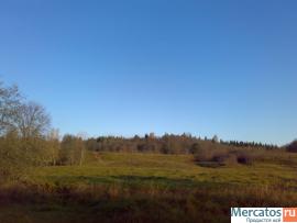 земли с/х назначения