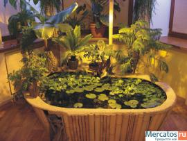 Продам эксклюзивный домашний пруд (можно в офис)