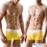 calvin klein ck365 boxers underwear,ck underwear wholesaler