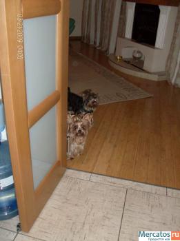 укладка ламината паркетной доски,подвеc потолки-монтаж(Пушкино)