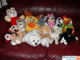 Отдам в дар