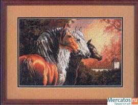 Набор для вышивания dimensions