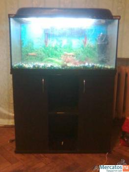 продам АКВАРИУМ