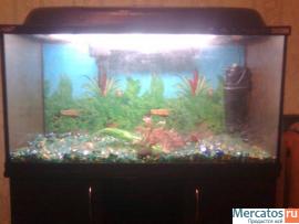 продам АКВАРИУМ! 4
