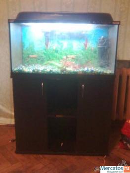 продам АКВАРИУМ! 5