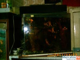 Продажа аквариумов 4