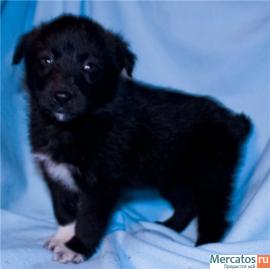 Помогите малышам! 5