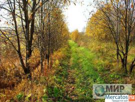 Продается участок в деревне Кукишево Волоколамского района