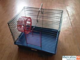 клетка для хомяка