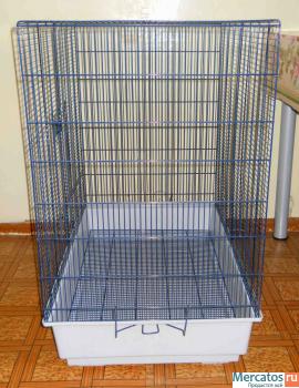 Большая клетка в идеальном состоянии 2