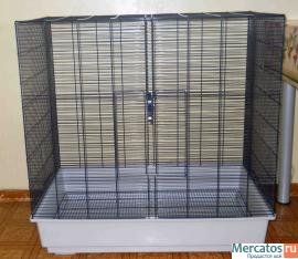 Большая клетка в идеальном состоянии