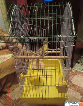 клетка складная для попугаев или грызунов 2