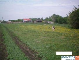 Участок.35 соток
