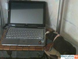 Ноутбук Hp Pavillion tx2550 (15000 р) 2