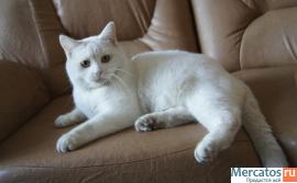 Хотим познакомиться. 3