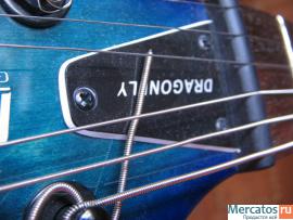 fernandes dragonfly standart прокачанная 2