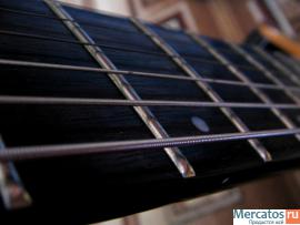 fernandes dragonfly standart прокачанная 3