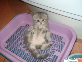 ПОДАРИТЕ ЛЮБИМЫМ РАДОСТЬ 4