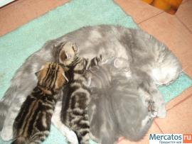 ПОДАРИТЕ ЛЮБИМЫМ РАДОСТЬ 5