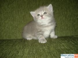 ПОДАРИТЕ ЛЮБИМЫМ РАДОСТЬ 7