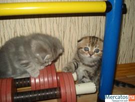 ПОДАРИТЕ ЛЮБИМЫМ РАДОСТЬ 8