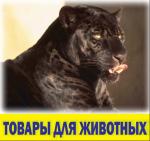 Открылся новый магазин для животных