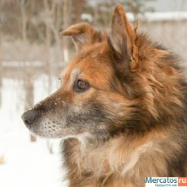 Одинокий старичок в приюте. 2