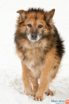 Одинокий старичок в приюте. 3