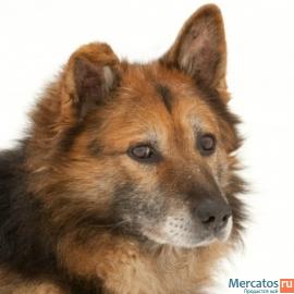 Одинокий старичок в приюте. 4